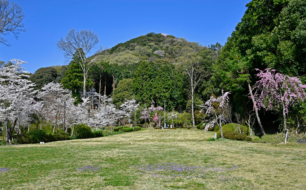 橿原神宮 境内の見どころ 若桜友苑