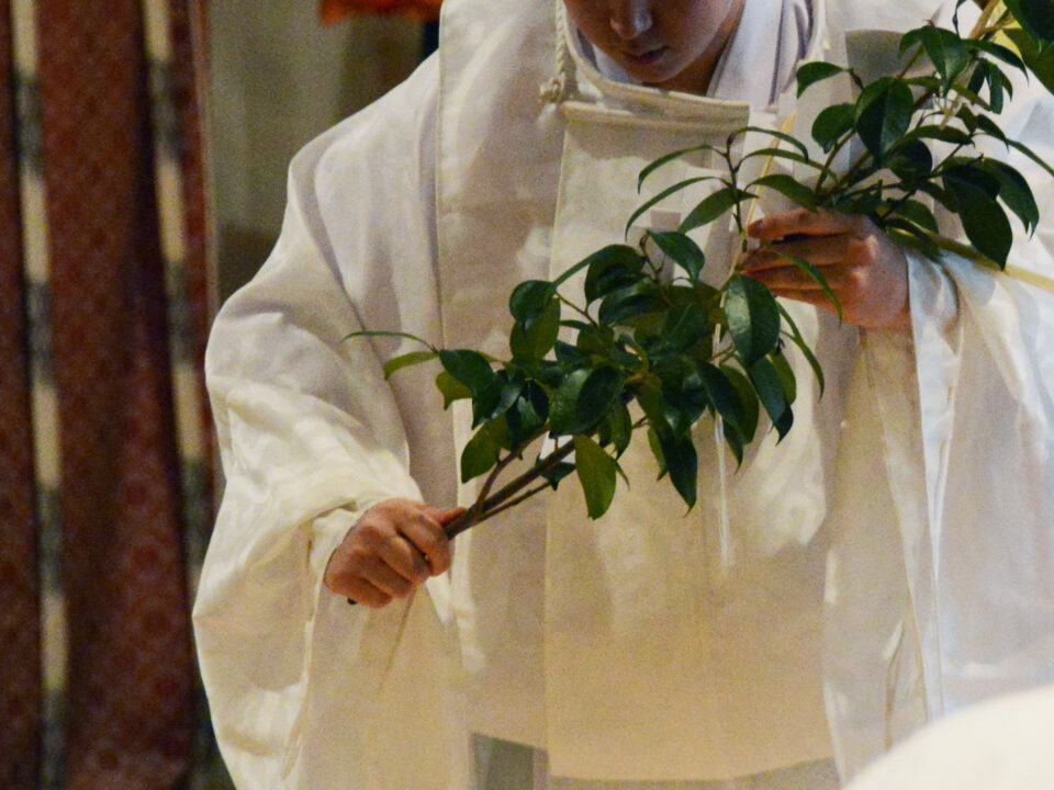 橿原神宮 御祈祷 その他 各種祈願